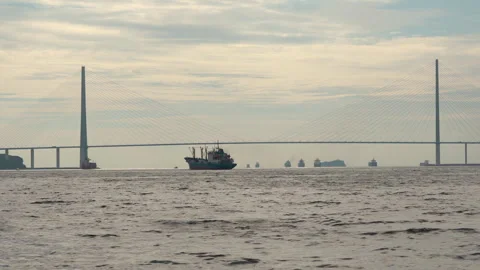 Cable-stayed bridge. Vessels in silhouette on horizon. Monochrome. View from Stock Footage 244592185