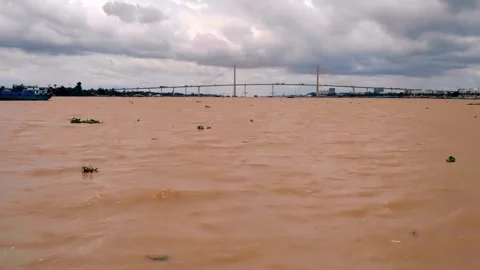 The cable-stayed Rach Mieu Bridge in Mekong River, Vietnam Stockbeeldmateriaal 333328217
