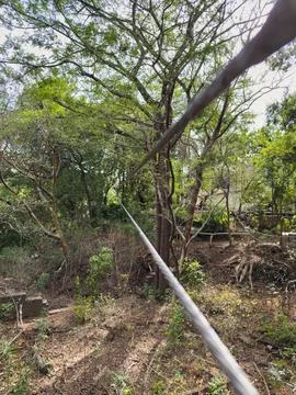Cable stretches between trees in wooded area during daytime Stockfoto's