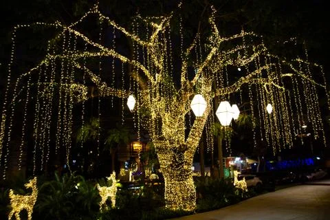 Cable of string led lights on tree in the garden at night time Stock Photos