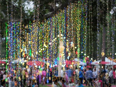 Cable of string led lights on tree in the garden at night time used for dec.. Stock Photos