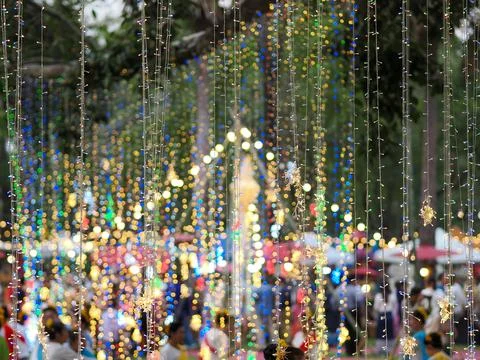 Cable of string led lights on tree in the garden at night time used for dec.. Stock-Fotos