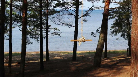 Cable swing between two pines. forest background Stock Footage 122522237
