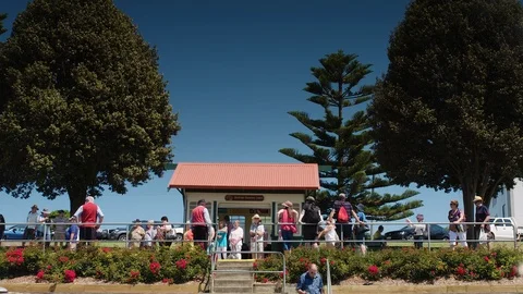 Cable Tram in operation carrying tourists - Portland, Victoria, Australia Stock Footage 93263145