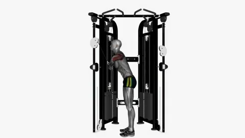 Cable triceps push down elbow out(v bar) exercise fitness workout animation male Vidéo 227560210