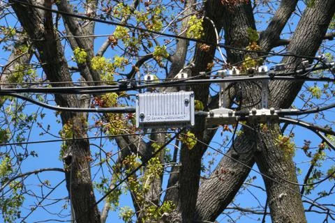 Cable TV server box on electric utility pole Stock Photos