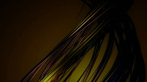 Cable vines growing Stock Footage 55442860