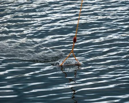 Cable wakeboarding handle gliding across rippled water surface Photos