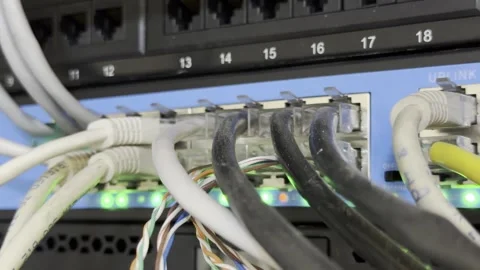 Cables are plugged into a network switch Video stock 332556669