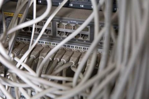Cables connected to a network server 写真素材