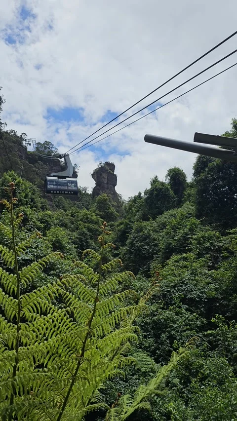 Cableway Cabin and Cliffs over the Ferns, Blue Mountains, Australia – Vertical Stock Footage 299012999