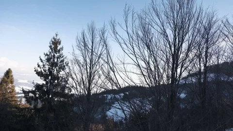 Cableway in the mountains above the forest Stock Footage 71690084