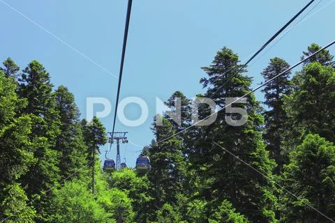 Cableway moving up between a forest and Caucasus mountains Stock Photos