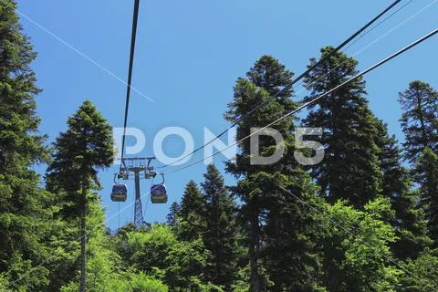 Cableway moving up between a forest and Caucasus mountains Stock Photos