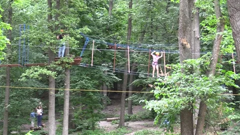 Cableway, rope ride on trees Video stock 135477023