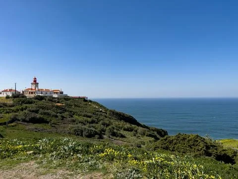 Cabo da Roca cape view on the lighthouse, green hills with yellow flowers Stock Photos