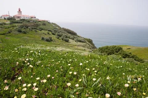 Cabo da Roca Lighthouse and Coastal Flowers, Portugal Stock Photos