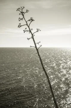 Cabo de Gata Stock Photos
