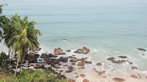Cabo de rama palm tree beach Video stock 241425628