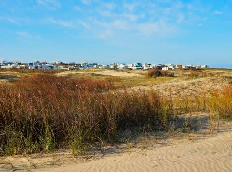 Cabo Polonio Stock Photos