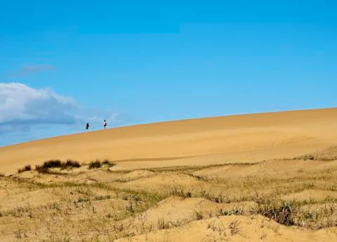 Cabo Polonio Stock Photos