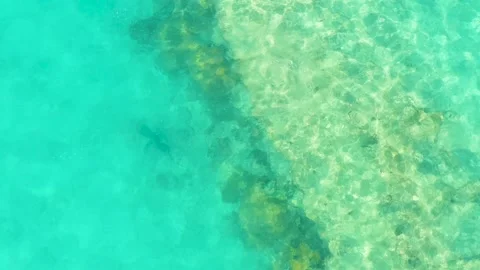 CABO PULMO BCS MEXICO-2021: The Beautiful Sea Creature Swim Majestically Through Stock Footage 169060468