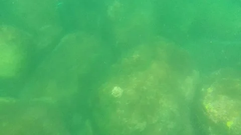 CABO PULMO BCS MEXICO-2022: People Swimming in Turquoise Waters Stock Footage 204909537