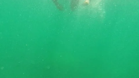 CABO PULMO BCS MEXICO-2022: Ocean Stock Footage 204909918