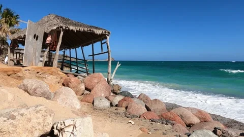 Cabo Pulmo Stock Footage 272935723