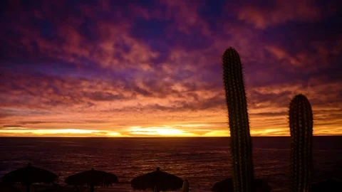 Cabo sunrise 4k Stock Footage 82468648