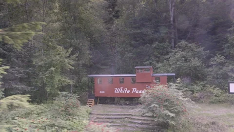 The caboose cabin from the white pass train at denver, alaska Stock Footage 343800036