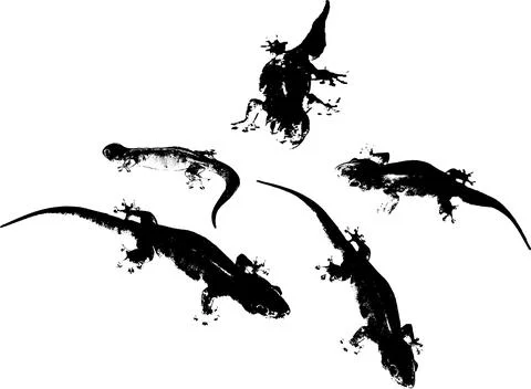 Cacak Stock Illustration