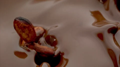 Cacao bean fall into the Melted Chocolate Super Slow Motion 1000fps. Stock Footage 265076579