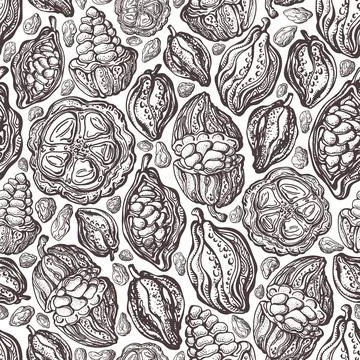 Cacao bean seamless pattern. Vector exotic fruit Stock Illustration