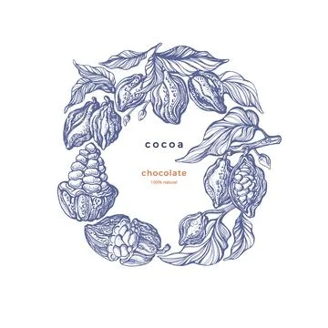 Cacao bean. Vector graphic illustration in circle Stock Illustration
