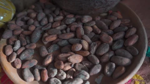 Cacao Beans Fermented and Dried Seeds Stock Footage 293175506