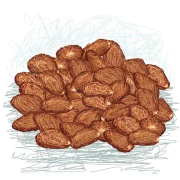 Cacao beans Stock Illustration