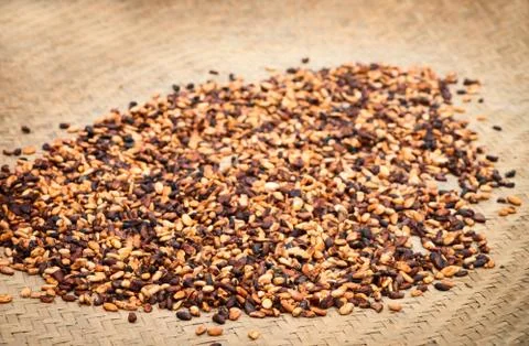 Cacao beans Stock Photos