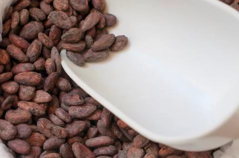 Cacao beans Stock Photos