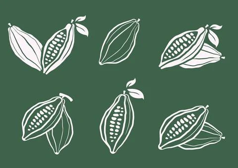 Cacao beans vector illustration set. Cocoa hand drawn doodle. Chocolate bean Stock Illustration