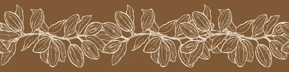 Cacao border outline on dark background. Cocoa plant with fruits and leaves. Illustrazione stock