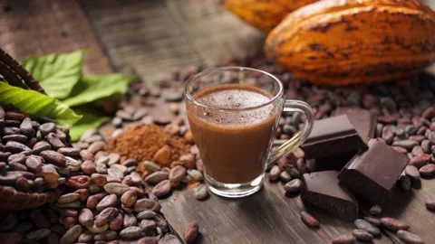 Cacao composition Stock Footage 136190263