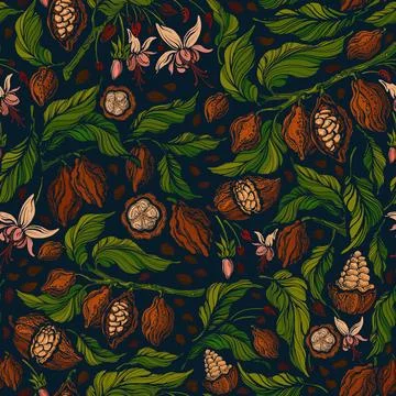 Cacao exotic seamless pattern. Vector green plant Stock Illustration