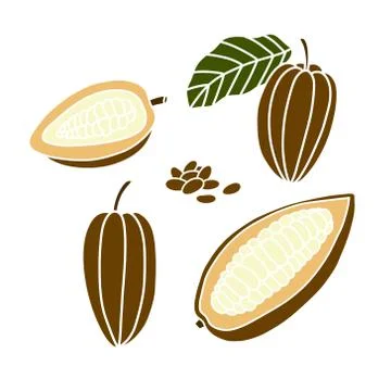 Cacao fruit and beans doodle icon, vector illustration Stock Illustration