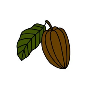 Cacao fruit doodle icon, vector color illustration Stock Illustration