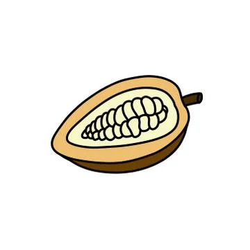 Cacao fruit doodle icon, vector color illustration Stock Illustration
