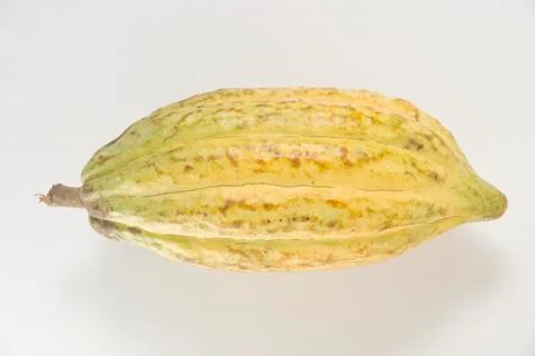 Cacao fruit Stock Photos