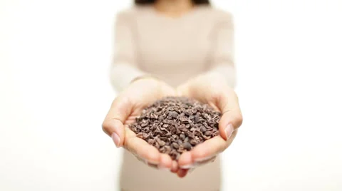 Cacao nibs from cocoa beans Stock Footage 34506446