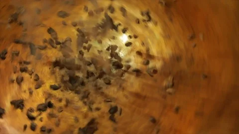 Cacao Nibs or Chips Falling into a Rotating Golden Cauldron Closeup Stock Footage 99163513
