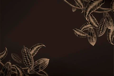 Cacao plant background Stock Illustration